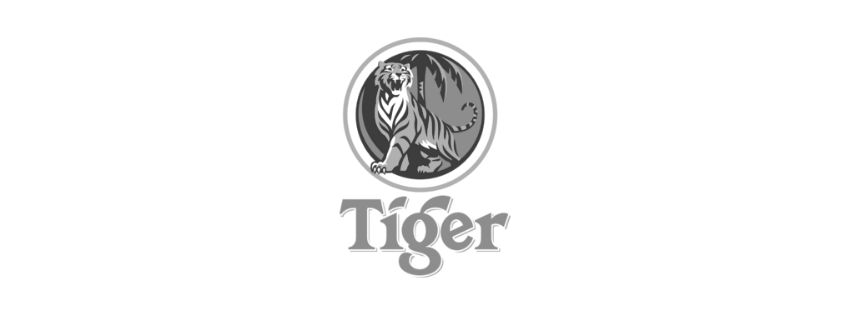 Logo 13